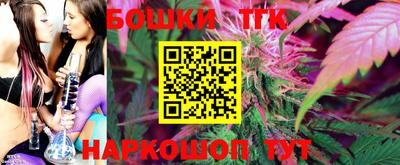 мдпв Пугачёв