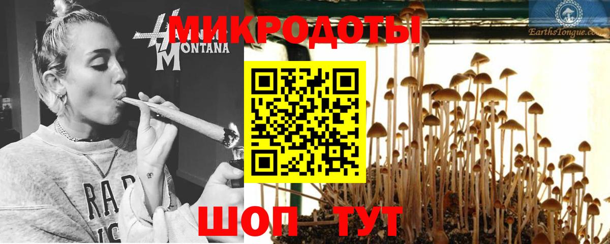 Псилоцибиновые грибы прущие грибы  сколько стоит  Алексин  Вход с VPN 