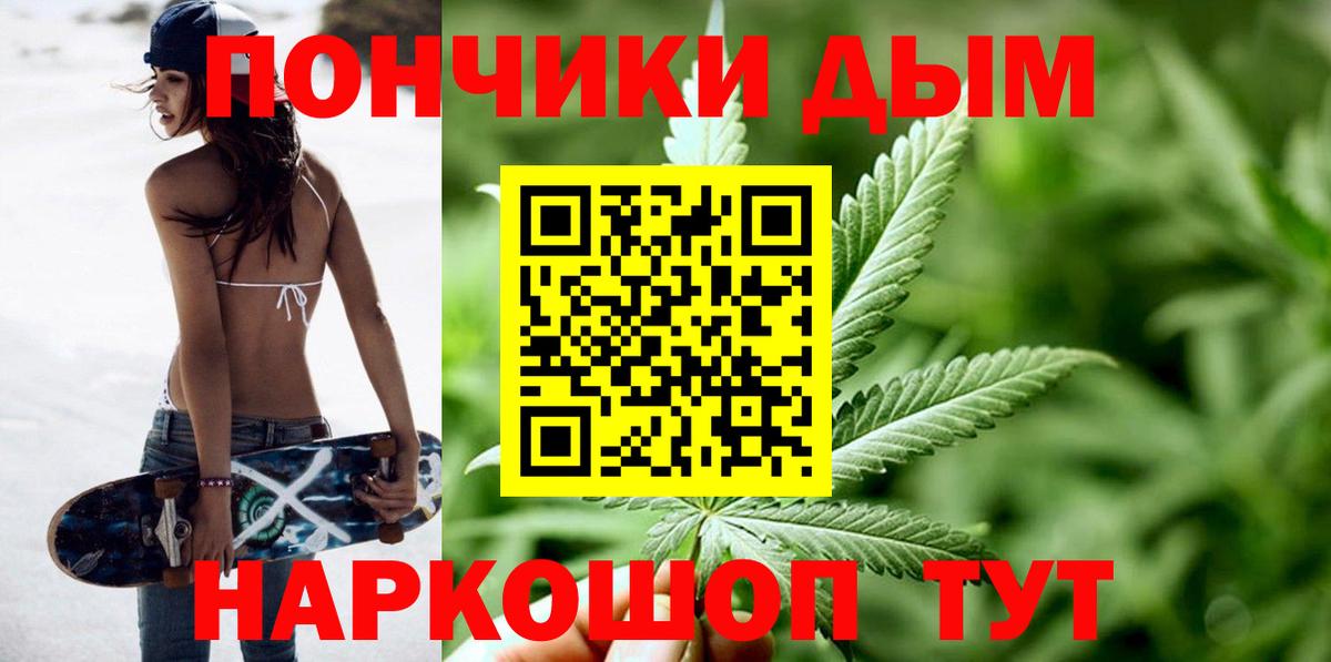 Шишки марихуана сатива Алексин